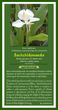 Sachchidananda.jpg